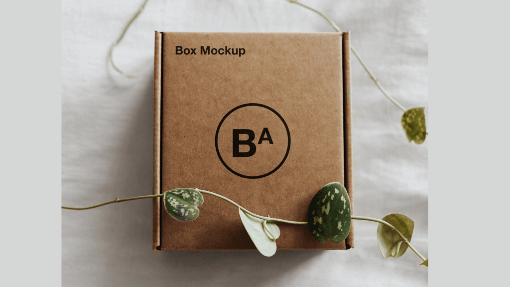 31+ Download Mockup Caixa De Papelão Psd